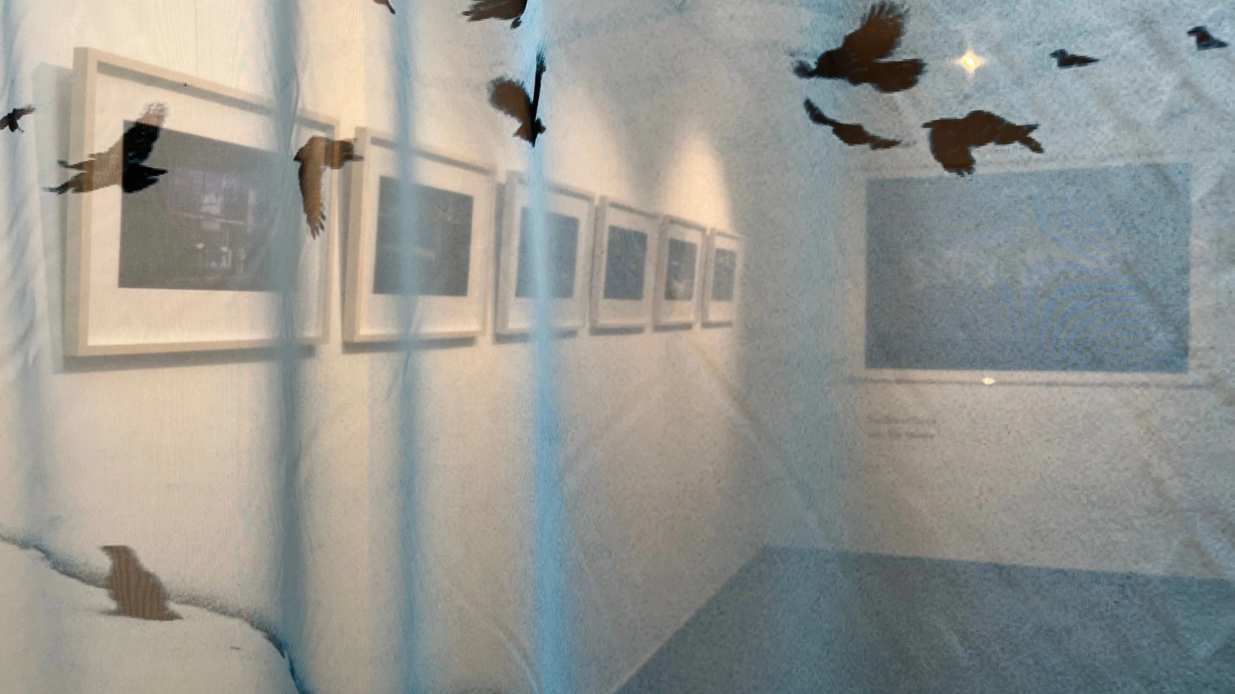 Yasuhiro Ogawa — Blue Lotus Gallery